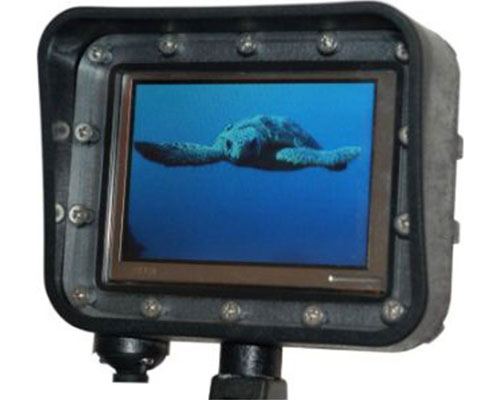 Monitor-for-diving